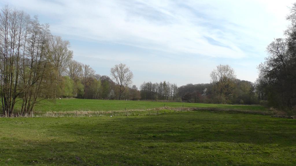 Gasthof Waldesruh Saerbeck Εξωτερικό φωτογραφία